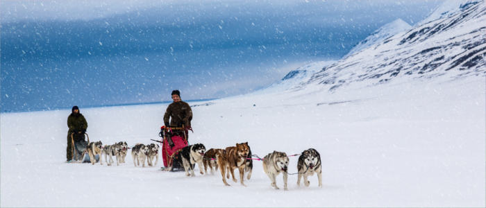 Svalbard - um passeio de trenó puxado por cães