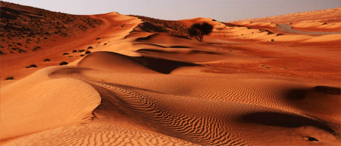 Wahiba Sand in Oman