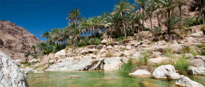 Oases in Oman