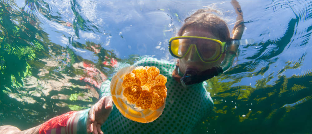 Living in Palau