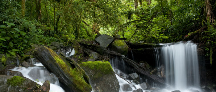 Waterfall in the tropical rainforest in Panama