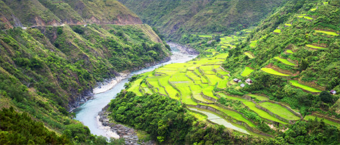 Rise terraces in Luzon