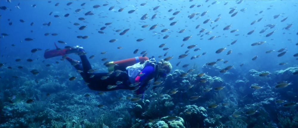 Diver in Saint Vincent and the Grenadines