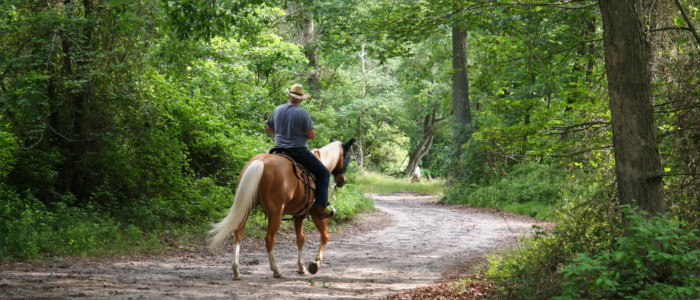 Horse-riding in San Marino
