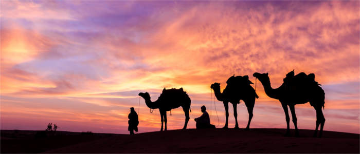 Through Saudi Arabia on the back of a camel