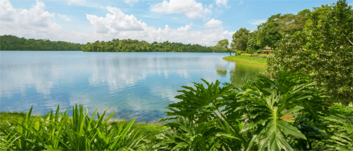 Singapore's Seletar Reservoir
