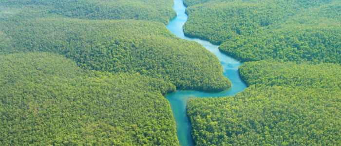 Amazon delta in South America