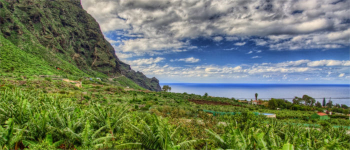 Agriculture on La Palma