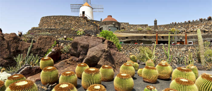 Cactus garden on Lanzarote