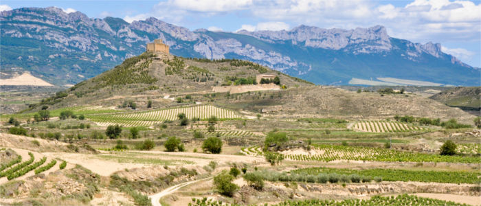 Castillo de Davalillo in front of La Rioja's mountains