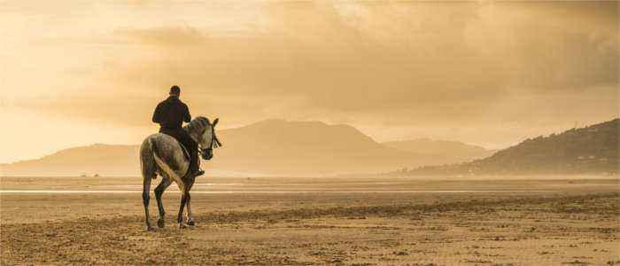 Horseback riding at the beach of Tarifa