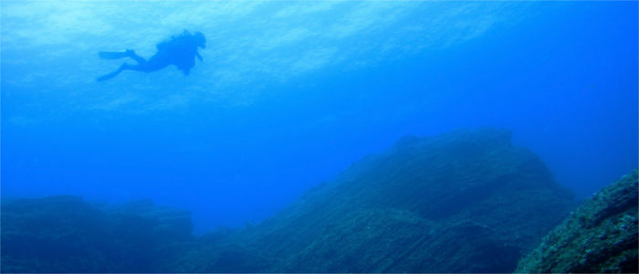Diver near El Hierro