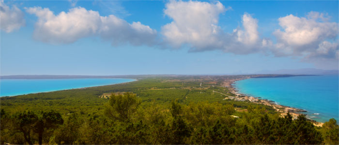 View of the island Formentera