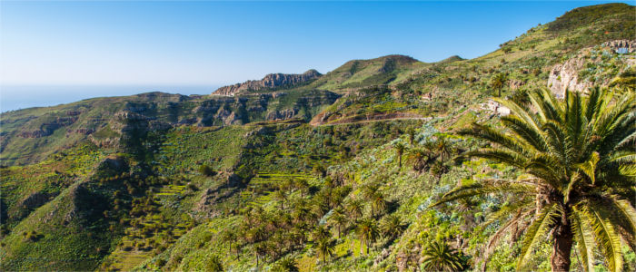 Landscape on La Gomera