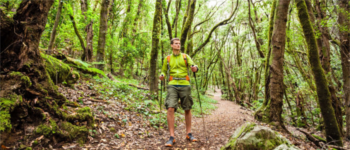 Hiking in the jungle