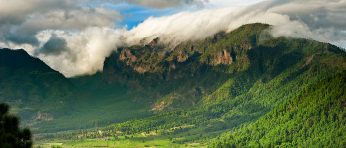 Trade winds on La Palma