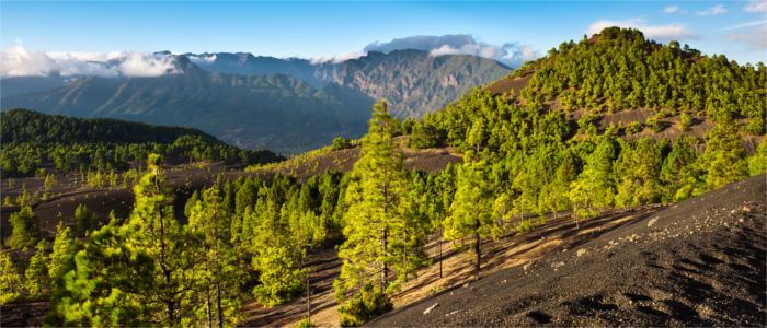 La Palma's landscape