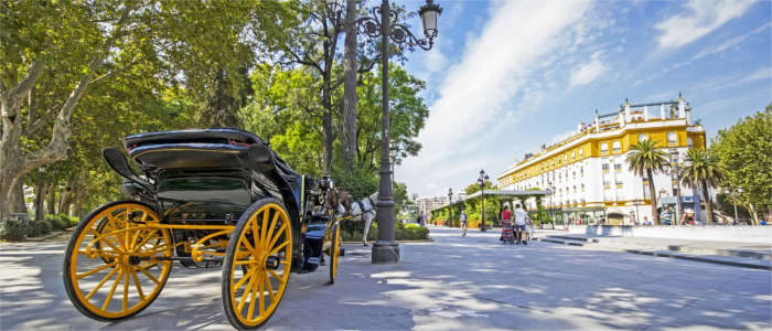 Exploring the city by carriage