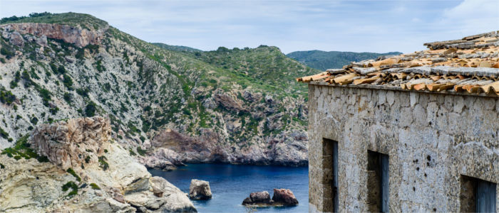 Cabrera's coast