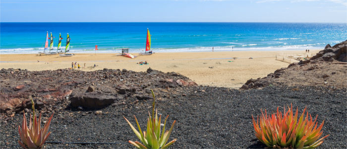 Surfers on Fuerteventura