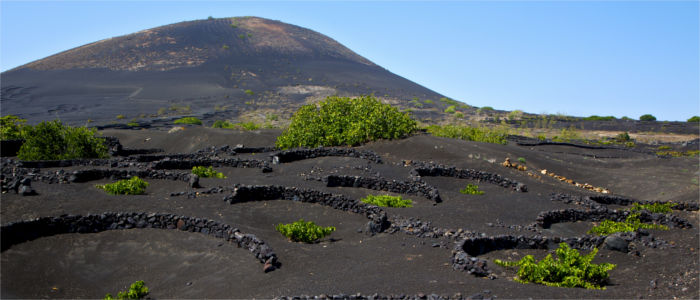 Volcanic island