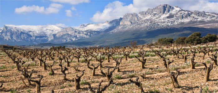 Wine-growing region in La Rioja