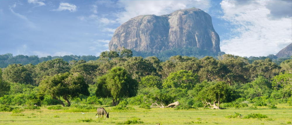 Sri Lanka's landmarks