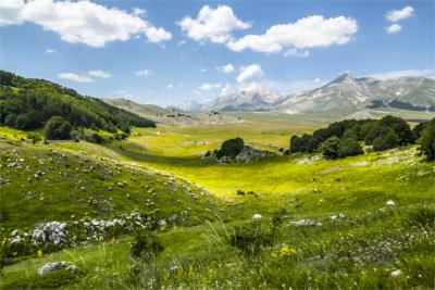 The plateau in the famous national park