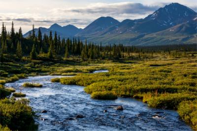 A typical landscape in Alaska