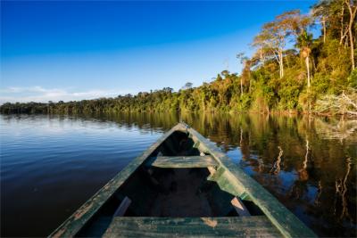 Natural landscape at the Amazon River