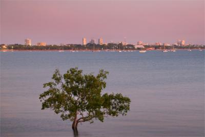 Panorama of Darwin