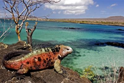 Travel destination Galápagos Islands