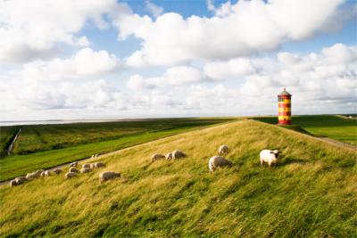 Landscape in East Frisia