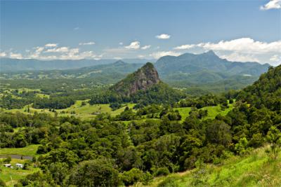 Nature around Tweed Volcano