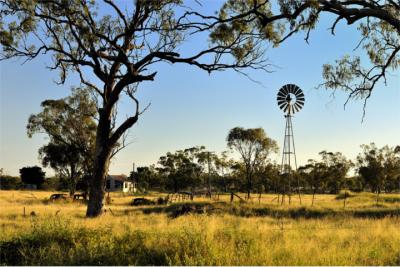 Farmland in Queensland