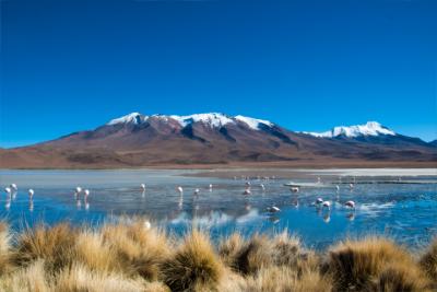 Bolivian landscapes