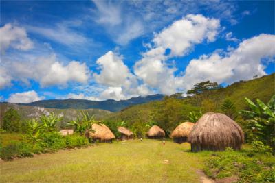 Country Papua New Guinea