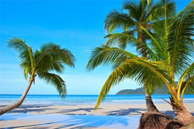 Travel destination of the Solomon Islands