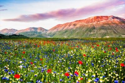 Grassy and mountainous landscape in Umbria