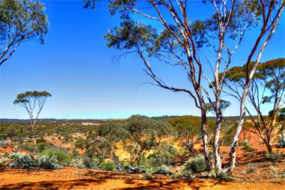 Scenery in Western Australia