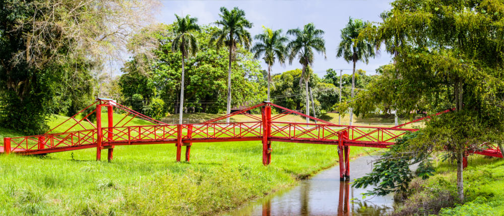 Suriname - bridges in Paramaribo