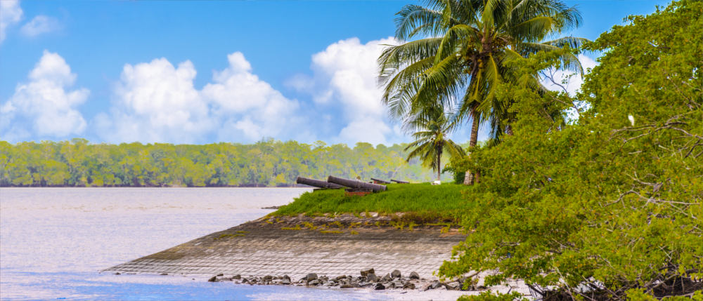 Suriname's river landscape