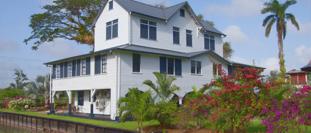 Sugar plantations in Suriname