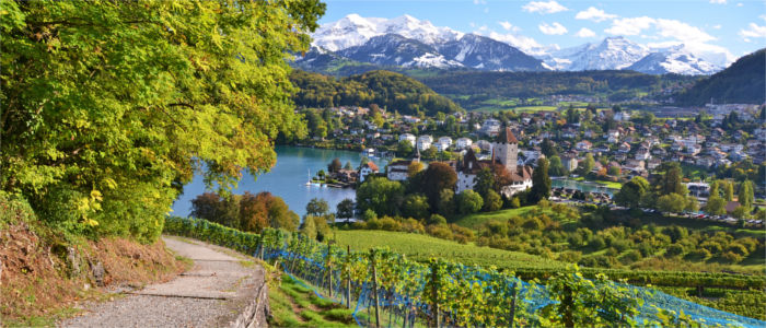 Spiez Castle in Bern