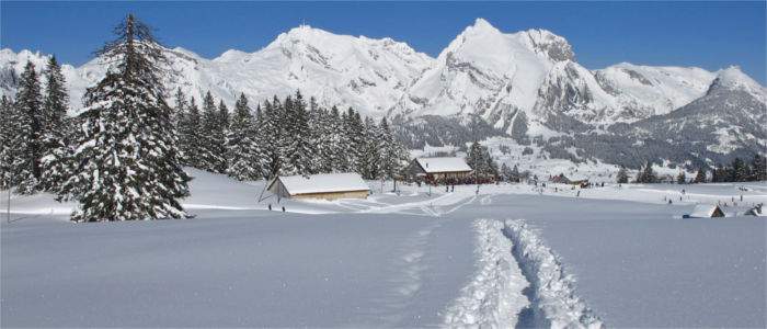 View of the Säntis in winter