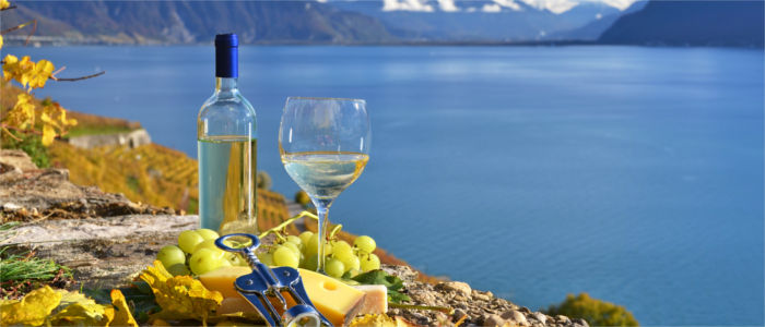 Enjoying wine at Lake Geneva