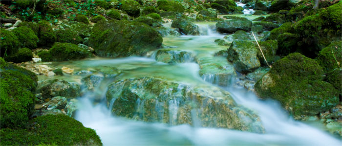 An idyllic forest stream in Solothurn