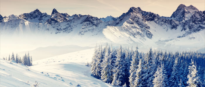 Swiss Alps covered in snow