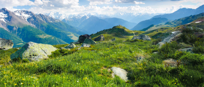 Mountainous landscape and meadows in Valais