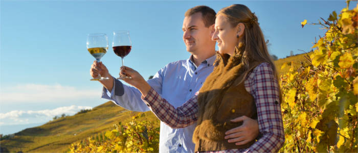 A wine tour through Lavaux in Vaud
